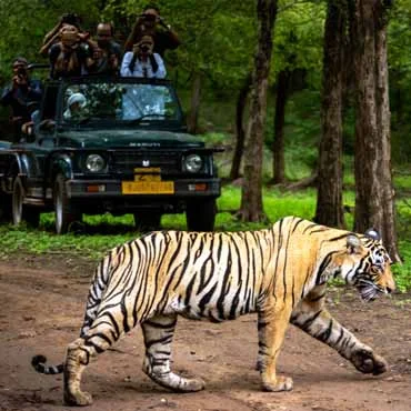 Maharashtra-Wild-Trail-1