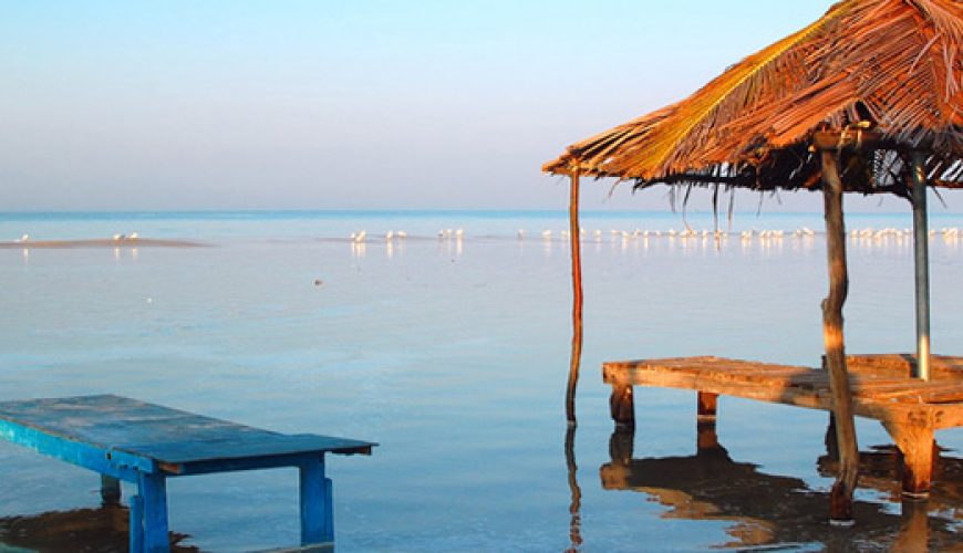 Goa : A Tiny Emerald on the West Coast of India