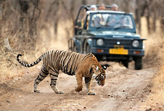 Day 02: Sunday - Sawai Madhopur